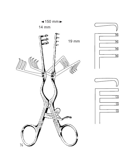 <span>Adson-Baby</span>