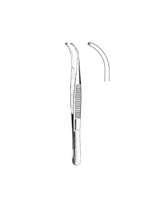 <span>Tissue Forceps  1:2</span>