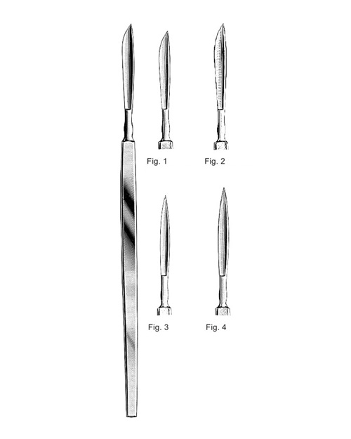 <span>Adams</span>