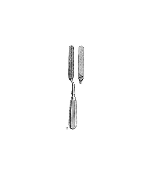<span>Bone File, Elevators</span>