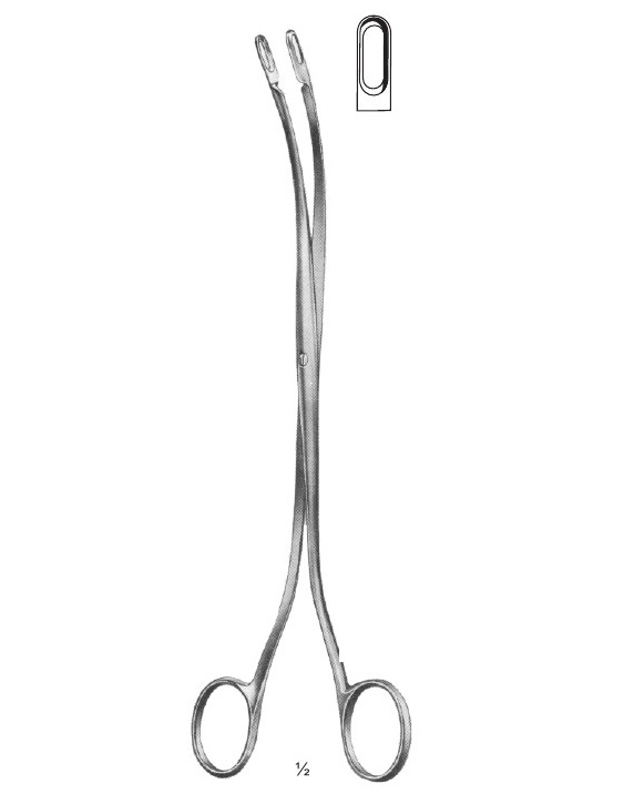 <span>Desjardins</span>