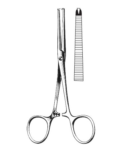 <span>Kocher</span>