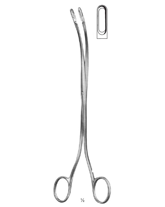 <span>Desjardins</span>