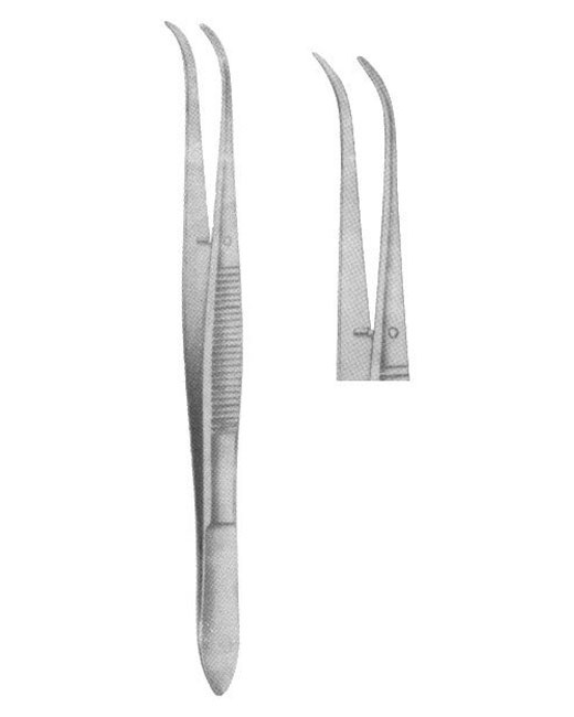 <span>Meriam Smooth </span>