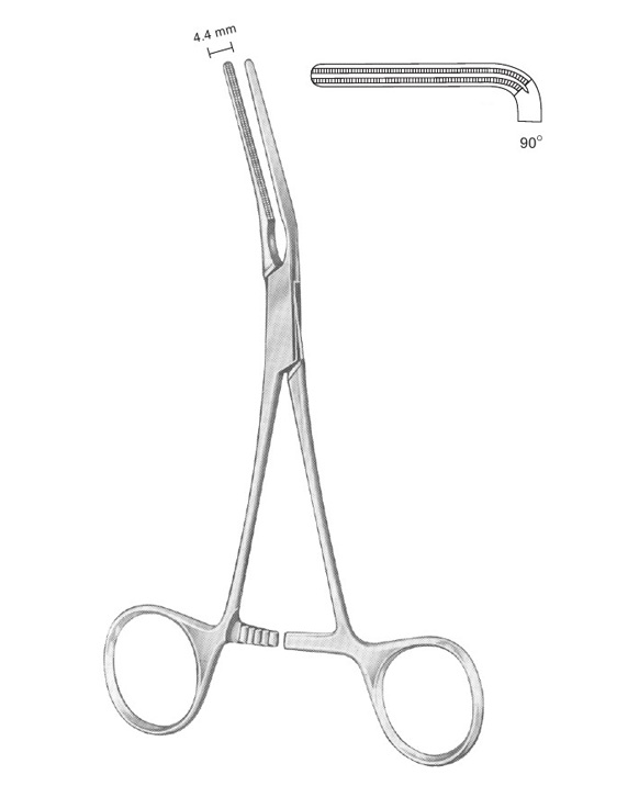 <span>Dardik</span>