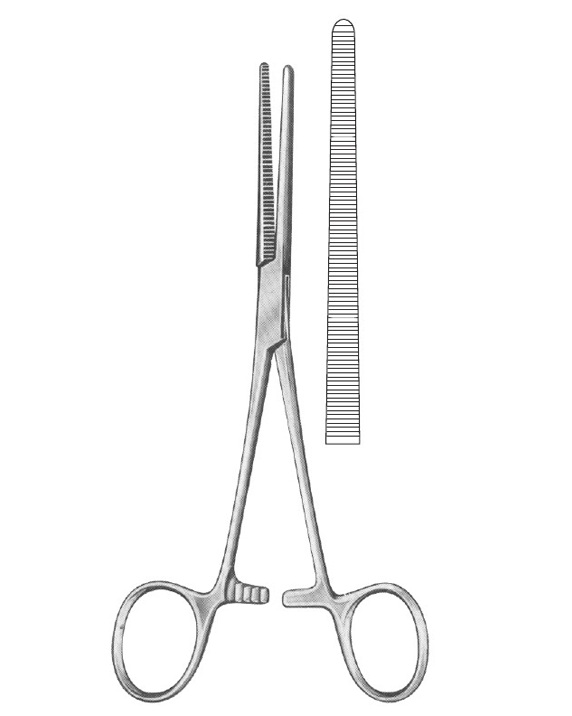 <span>Rochester-Péan</span>