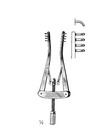 <span>Alm</span>
