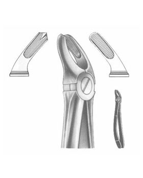 <span>Upper Molars Left</span>