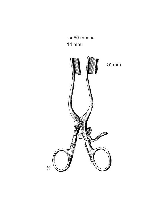 <span>Weitlaner-Baby</span>