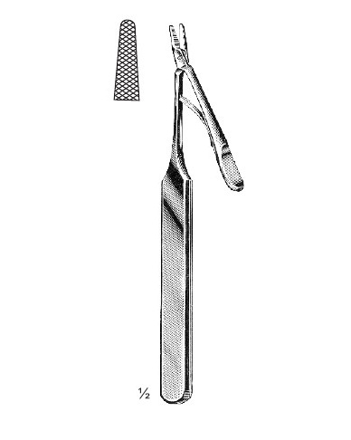 <span>Barraquer</span>