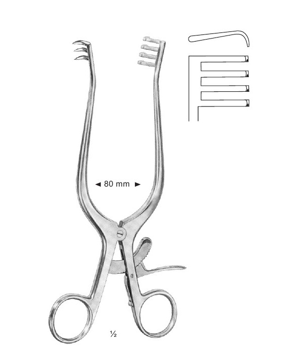 <span>Weitlaner</span>