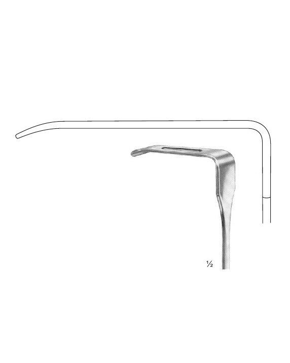 <span>Coryllos</span>