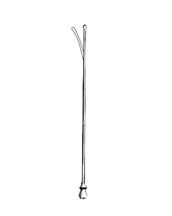 <span>Hajek</span>
