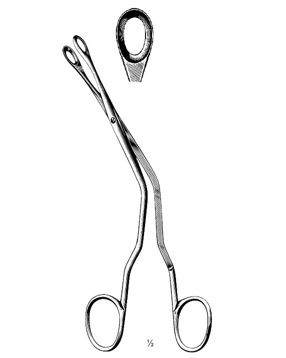 <span>Luc</span>