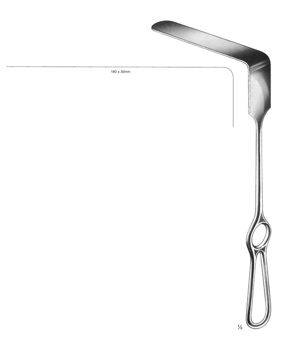 <span>Brunner</span>