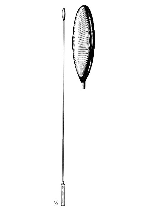 <span>Bakes</span>