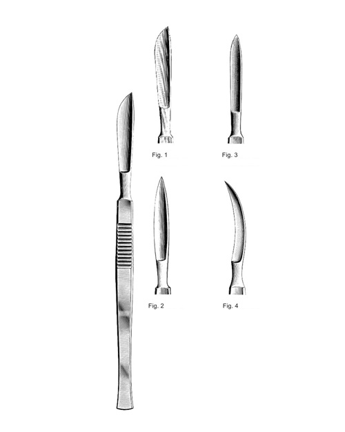 <span>Bergmann</span>