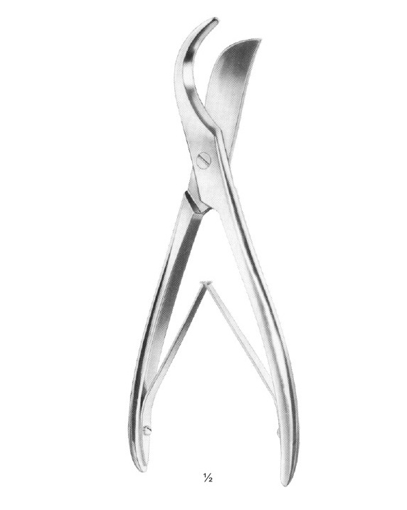 <span>Bone Shear</span>