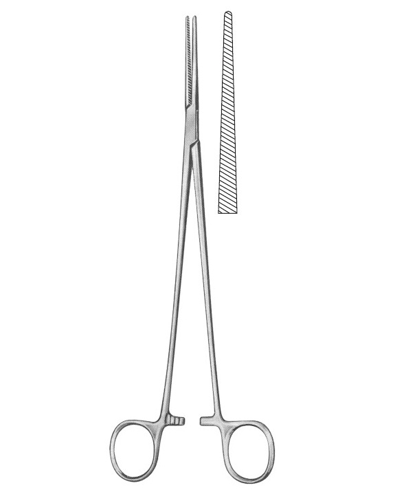 <span>Bengolea</span>