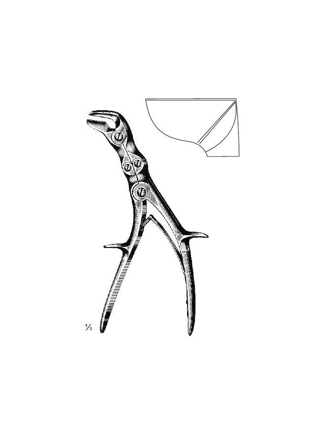 <span>Semb</span>
