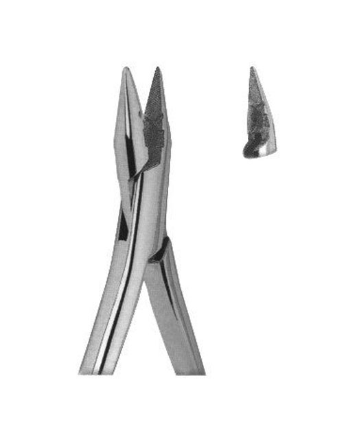 <span>Universal</span>