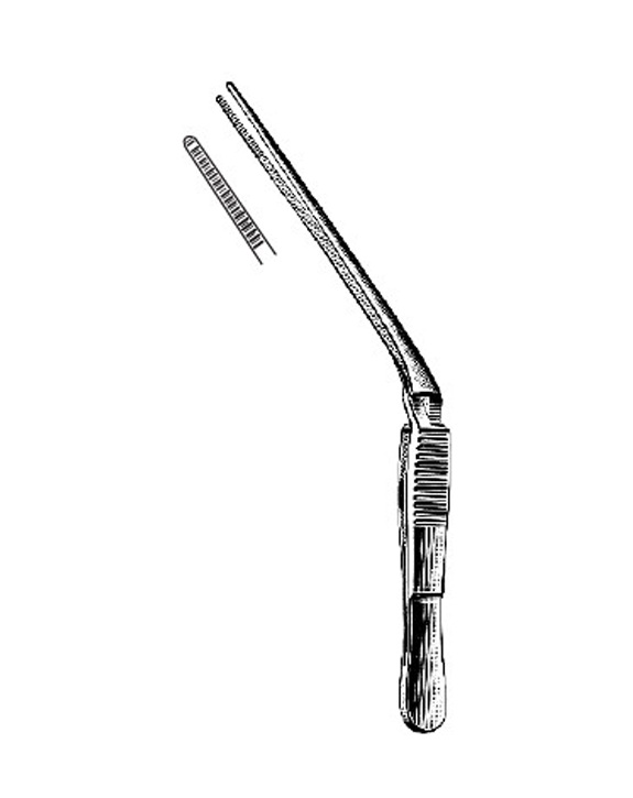 <span>Troeltsch (Wilde)</span>