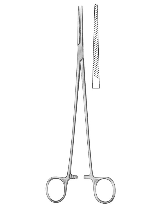 <span>Bengolea</span>