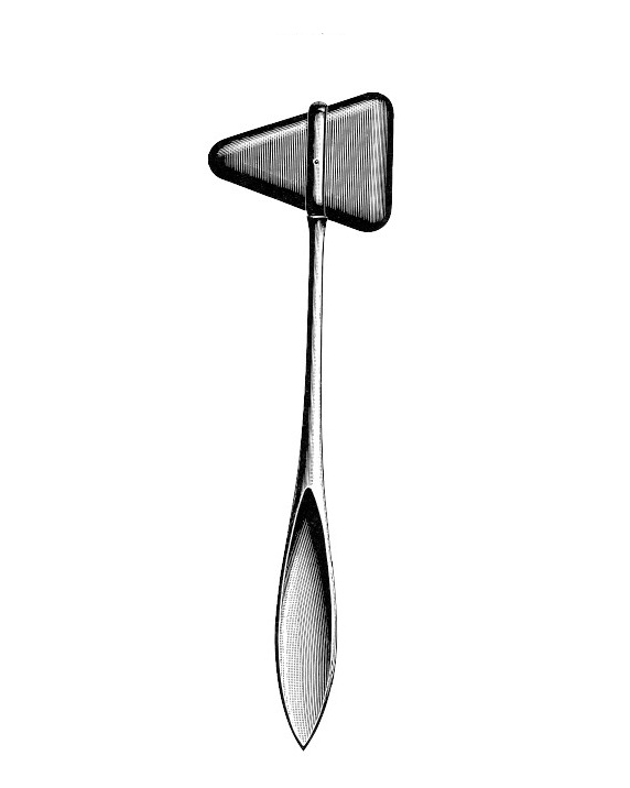 <span>Taylor Mod. USA</span>