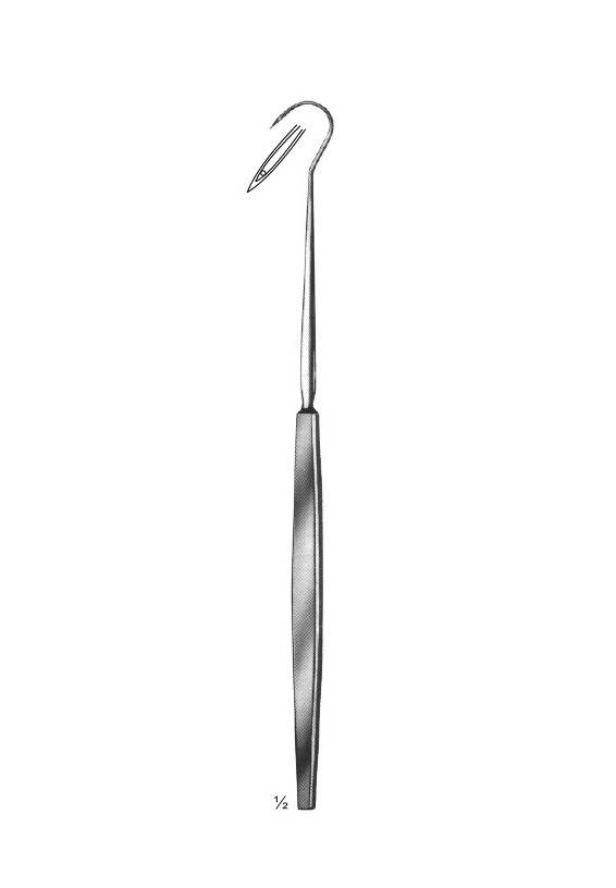 <span>Walker</span>