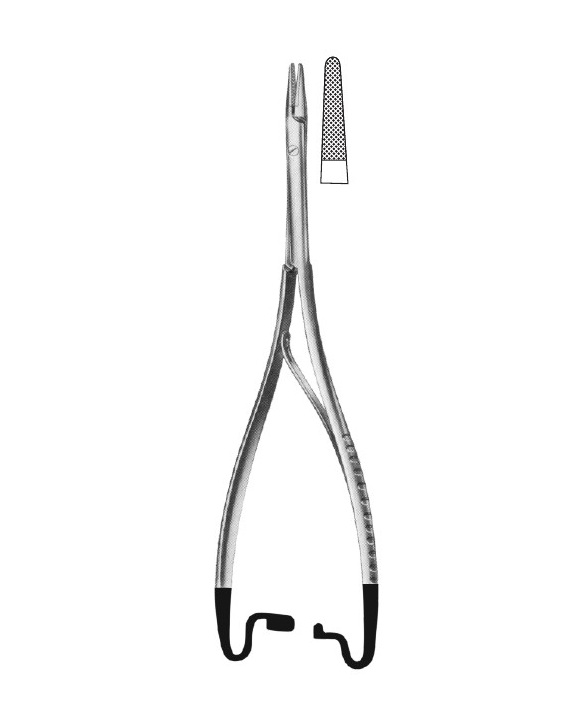 <span>Hösel</span>
