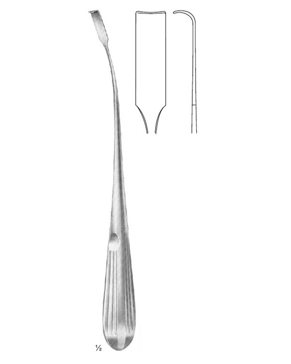<span>Holsher</span>
