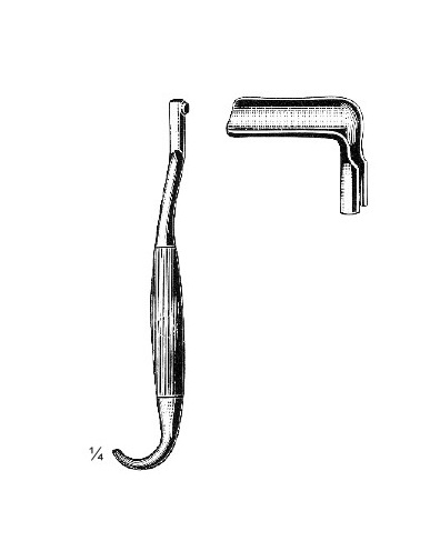 <span>Bozemann</span>