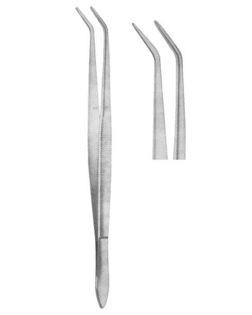 <span>Meriam Smooth </span>