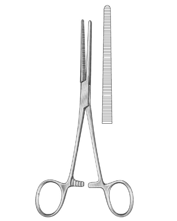 <span>Rochester-Péan</span>