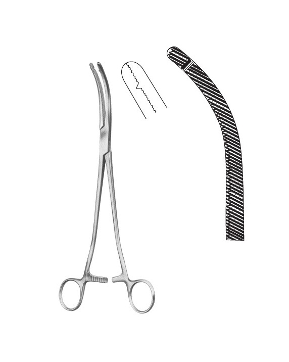 <span>Wiener Modell </span>