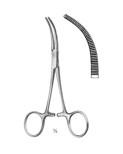 <span>Baby-Overholt</span>