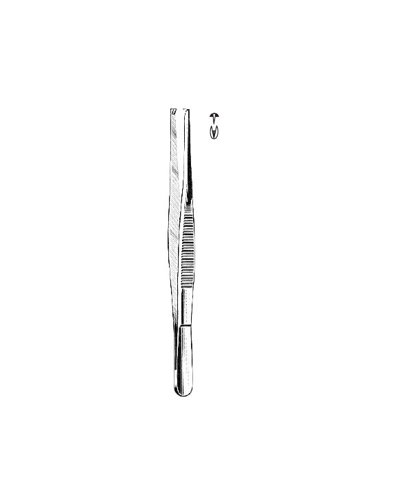 <span>Tissue Forceps 1:2</span>