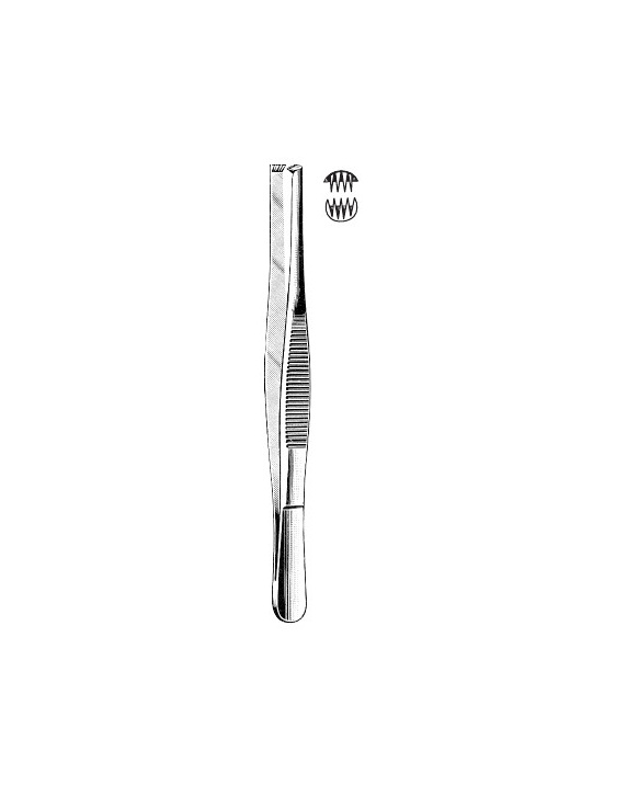<span>Tissue Forceps  3:4</span>