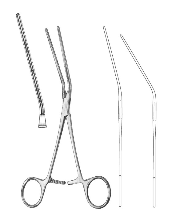 <span>Leland-Jones</span>