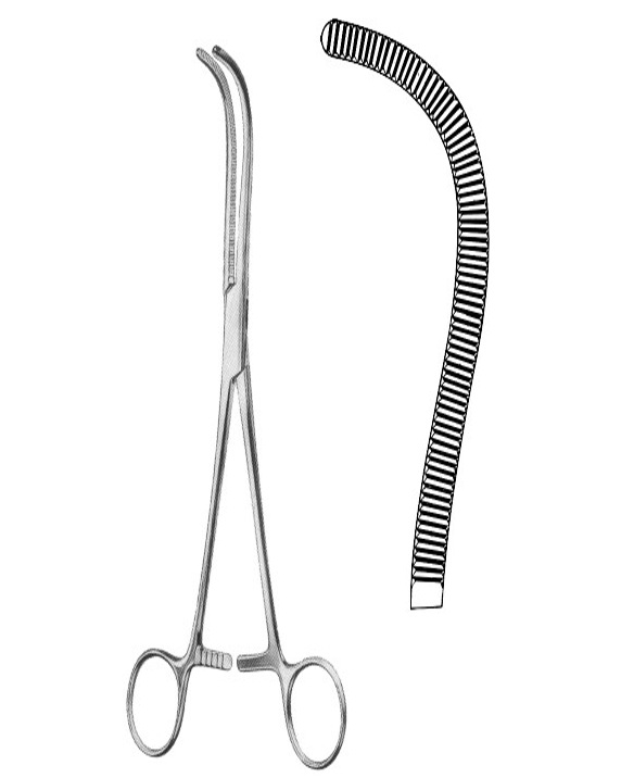 <span>Pean</span>
