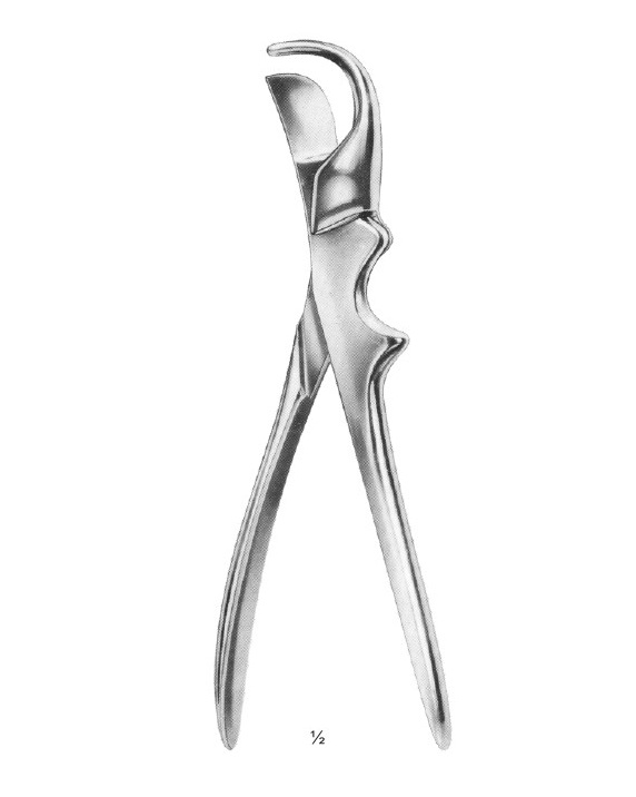 <span>Gluck</span>