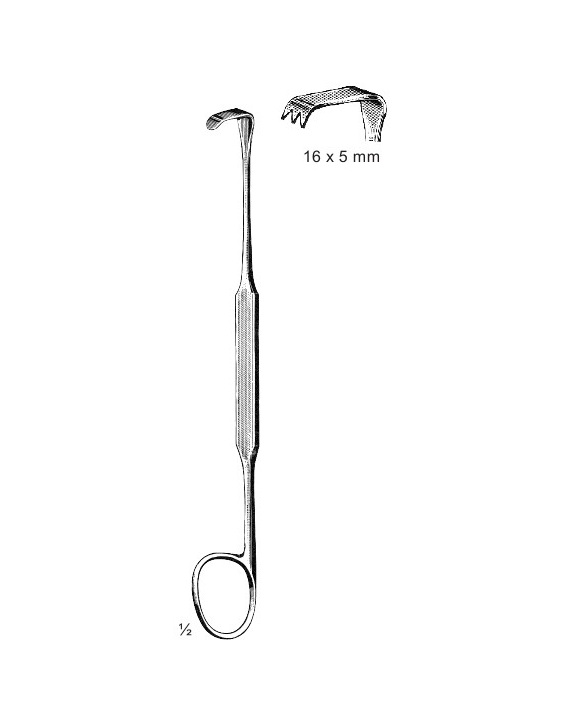 <span>Meyerding</span>