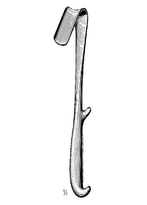 <span>Young</span>