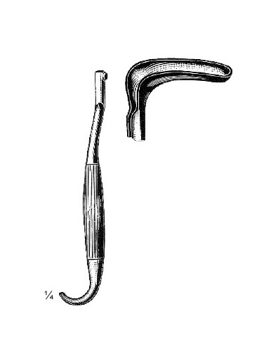 <span>Bozemann</span>