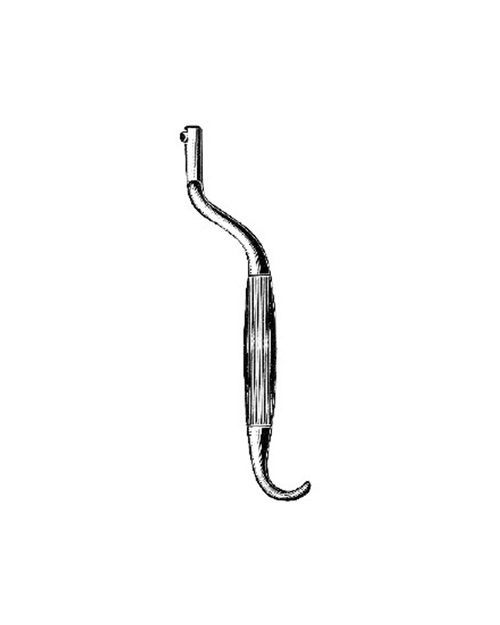 <span>Bozemann</span>