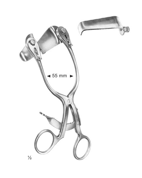 <span>Cloward</span>