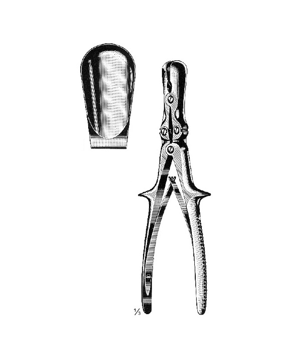 <span>Stille-Luer</span>