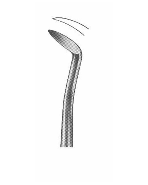 <span>Winter</span>