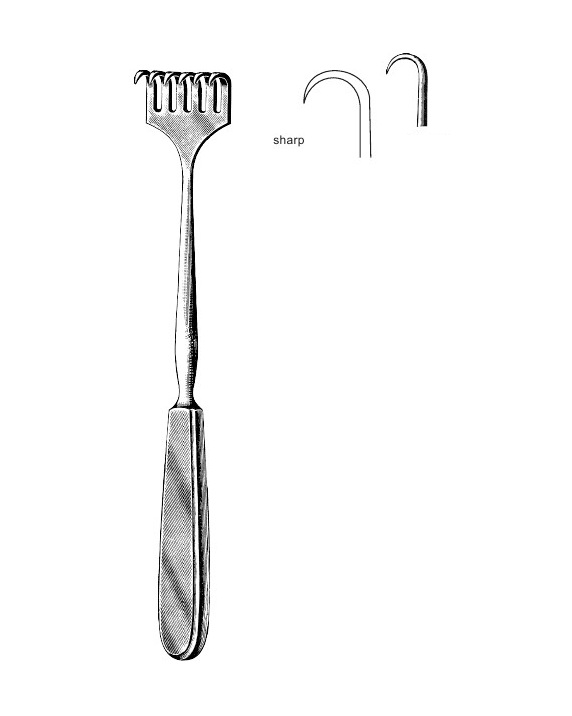 <span>Volkmann</span>