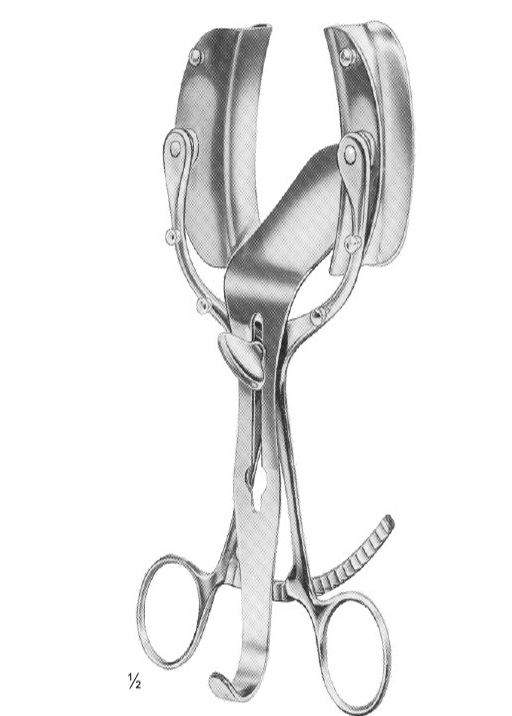 <span>Legueu</span>